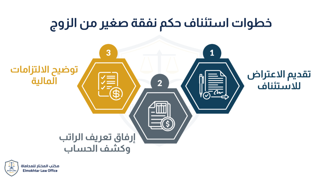 استئناف حكم نفقة صغير من الزوج