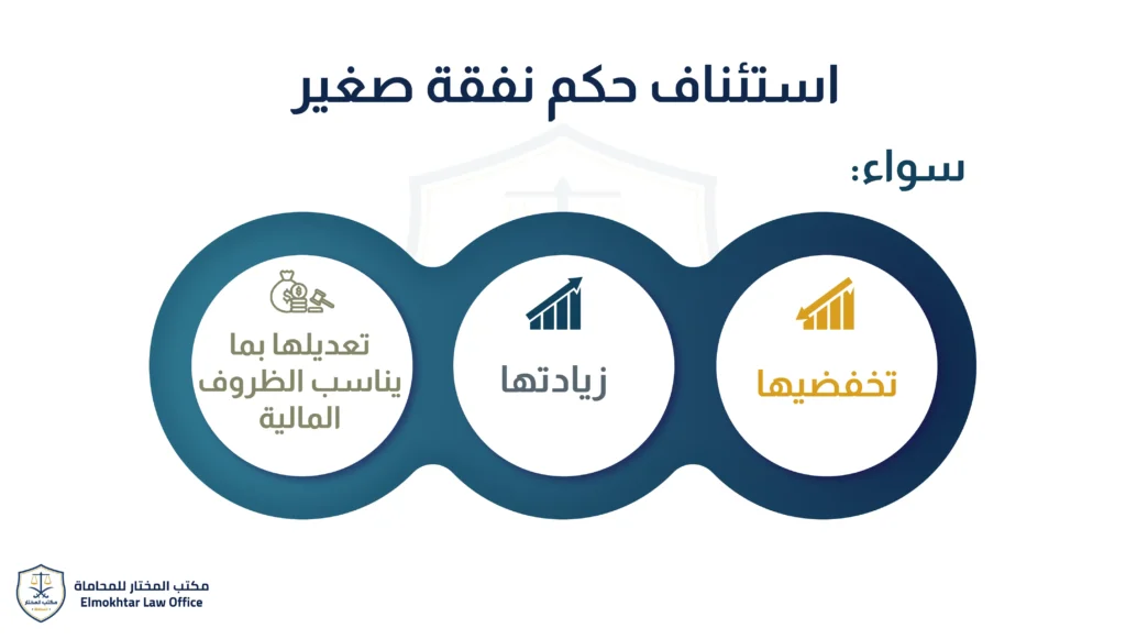 استئناف حكم نفقة صغير